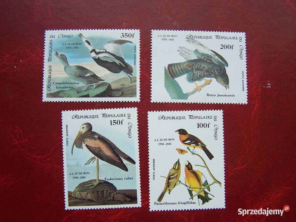 Kongo 1985 MNH Mi 99497 Fauna Ptaki J Audubon śląskie Tychy