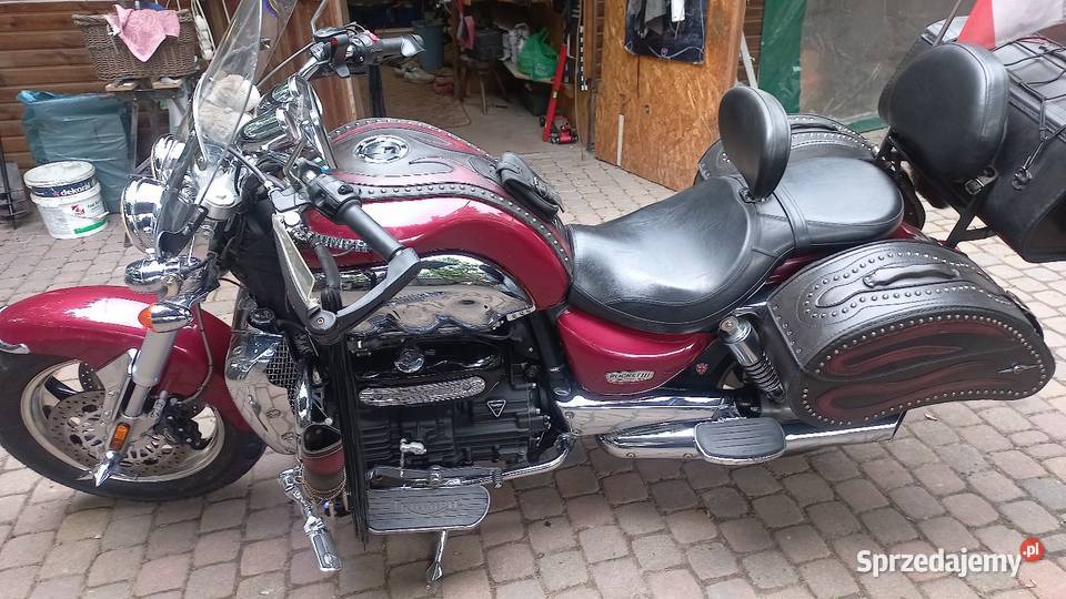 Triump Robert 3 wielkopolskie