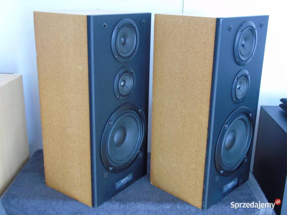 Sprawne kolumny Pioneer CS301 WYSYŁKA Jasło