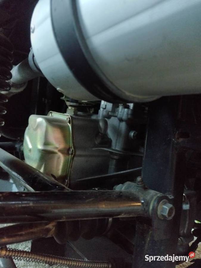 SzałowyWyjatkowyMega JeepBugyy800 benzyna Strzelno