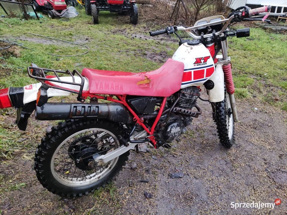 Yamaha XT 350 Yamaha Bierzwnik