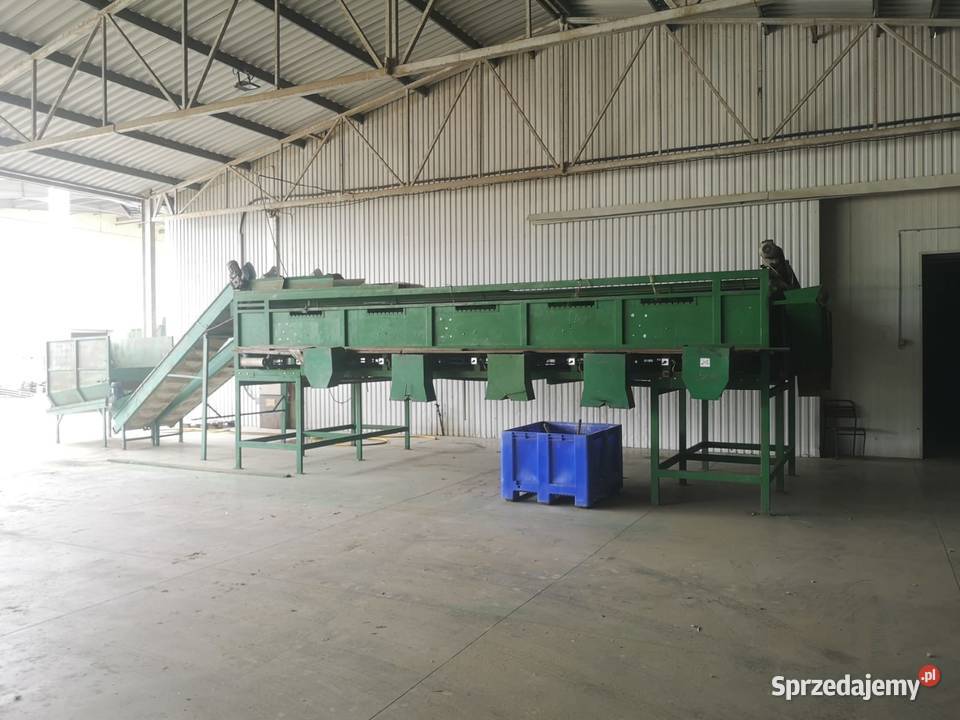 Sortownik do ogórków 34 łańcuchy