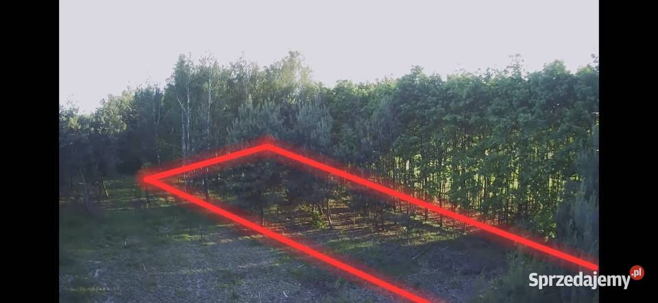 Działka bud 2900 M2 Łukawska Wola WZ ZADRZEWIONA budowlana sprzedam