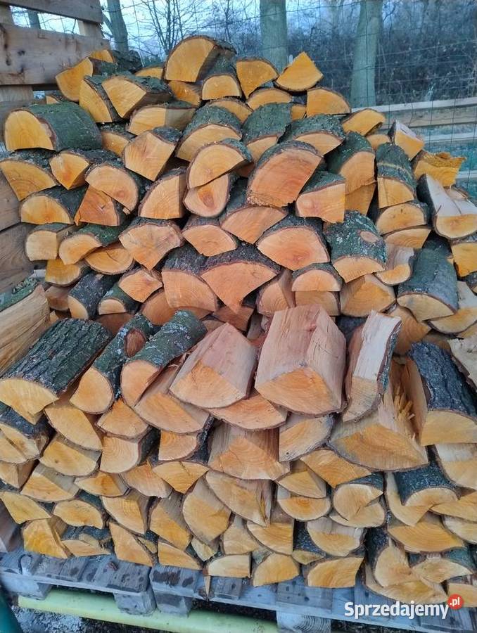 Drewno opałowe sosna brzoza olcha