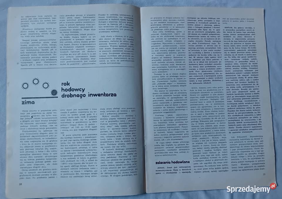 Hodowca Drobnego Inwentarza 12 1983 r Antykwariat