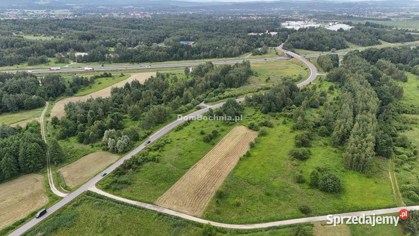 Działka Borek 4572m2