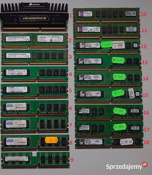 Pamięć RAM Dyski twarde HDD Karta Graficzna Asus DDR2 1200