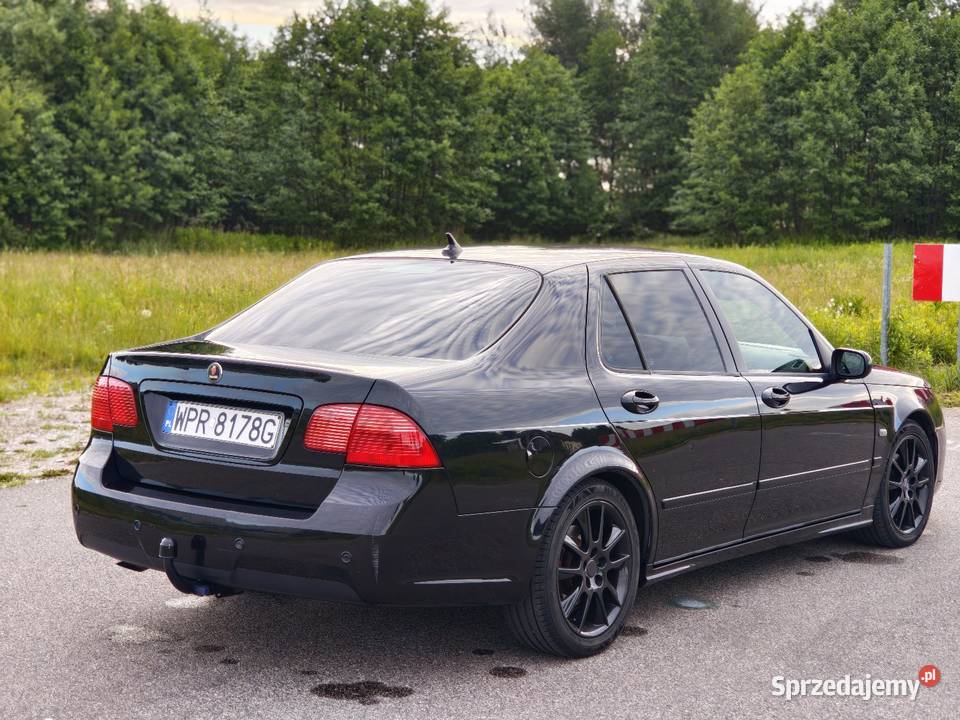 Saab 95 vector