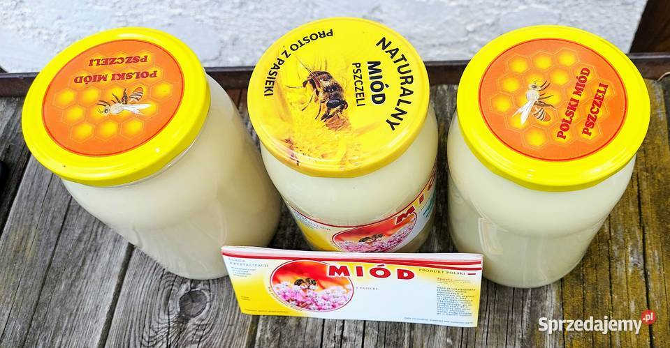 MIÓD KRAJOWY PRODUKT POLSKI RZEPAKOWY MNISZEK Inowrocław