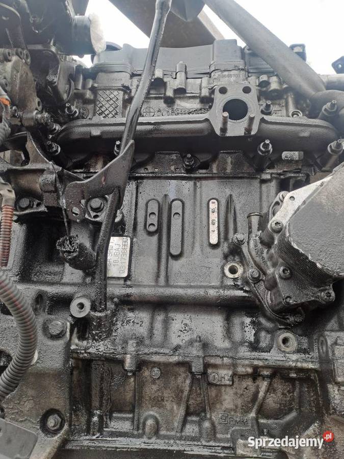 Citroen Peugeot 16 HDi 109 silnik kompletny kod osobowe Jastrzębie-Zdrój