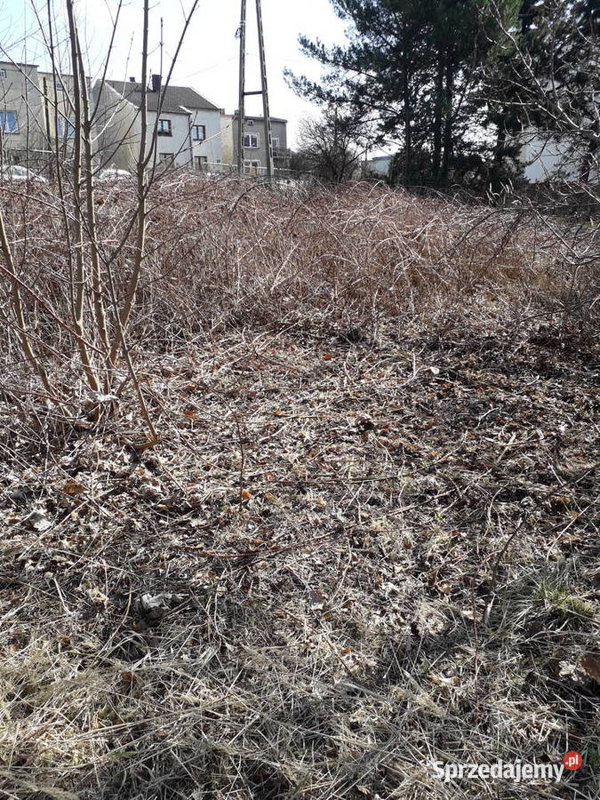 Koszenie Trawy Wycinka inne BędzinCzeladź Będzin sprzedam