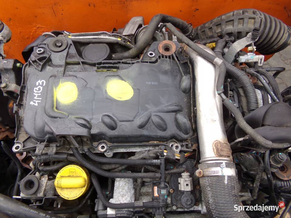 QASHQAI XTRAIL KOLEOS 20 DCI 09r M9R832 osobowe Suków