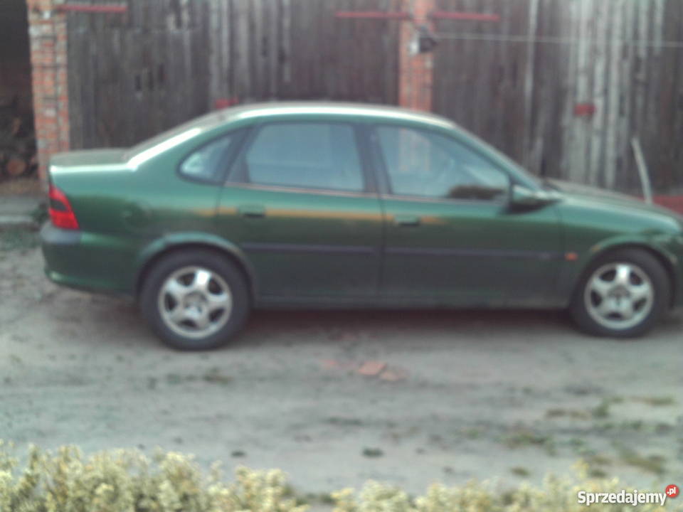 Opel Vectra Kościan