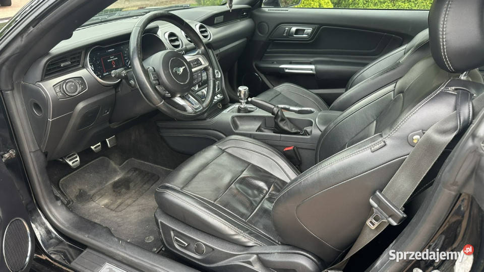 Ford Mustang Ford Przasnysz