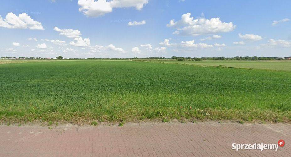 Działka 46 ha gm Ożarów Mazowiecki mazowieckie