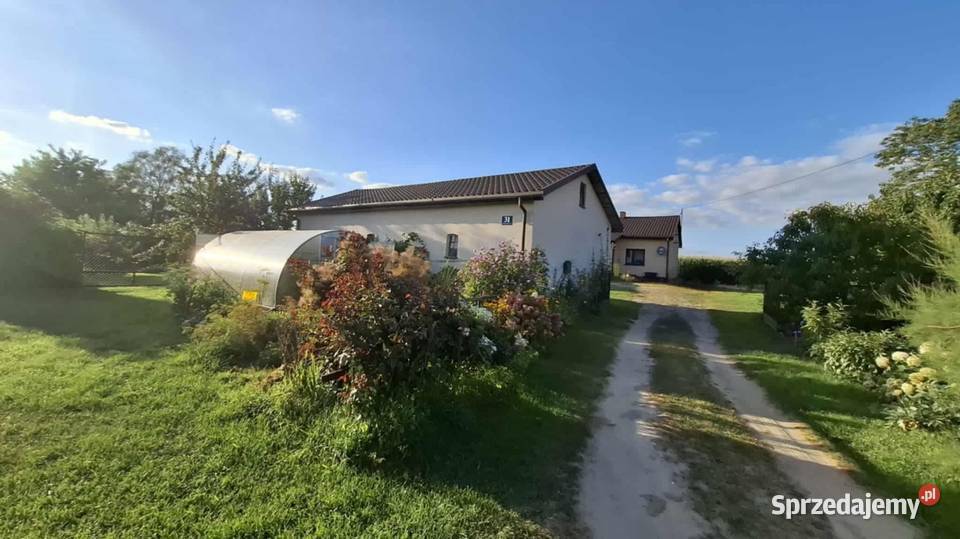 Siedlisko gospodarstwo ziemia rolna dom wolnostojący Piskorczyn