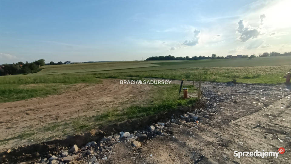 Działkę sprzedam 2503m2 Sieciechowice Długa