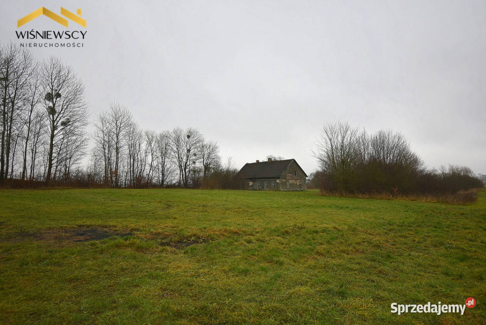 Siedlisko 9400m2 dom dwa budynki gospodarcze Głotowo