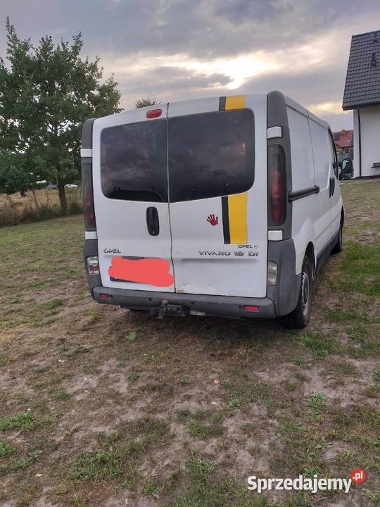 Sprzedam Vivar 19DI 2001 Rok produkcji 2001 Żabnica