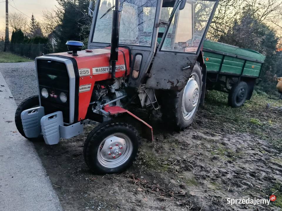 sprzedam fergusona Ferguson lubelskie Hrubieszów