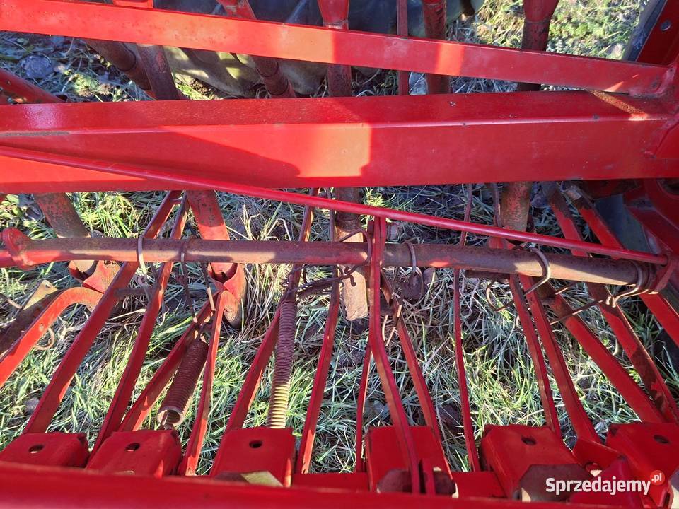 Siewnik nieuszkodzony Tolniki Wielkie