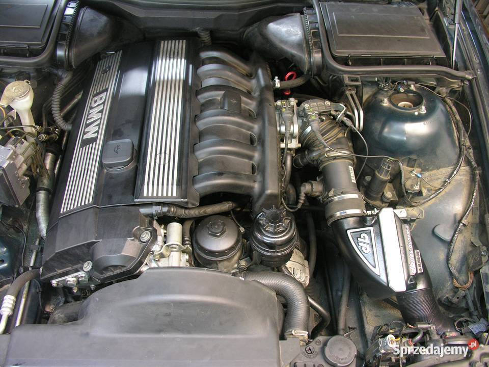 Dolot Dbilas Dynamic FlowMaster BMW Peugeot Opel osobowe Wiązów