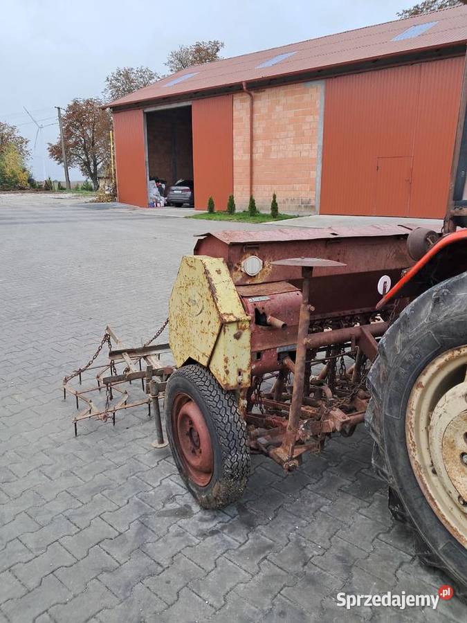 Siewnik Poznaniak Janikowo