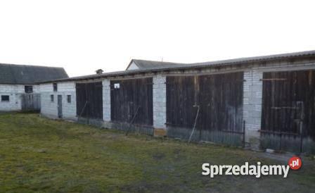 Do Siedlisko w Mostowie Mława