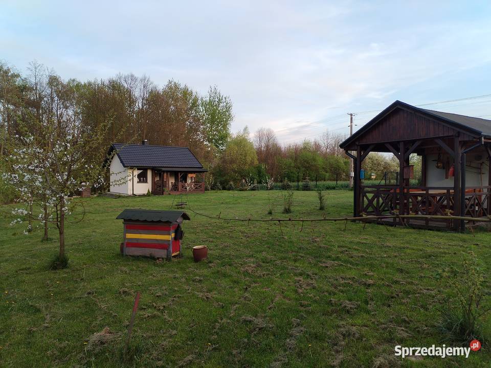 Działkę z domkiem 35m Prawecin 2000m2 Prawęcin