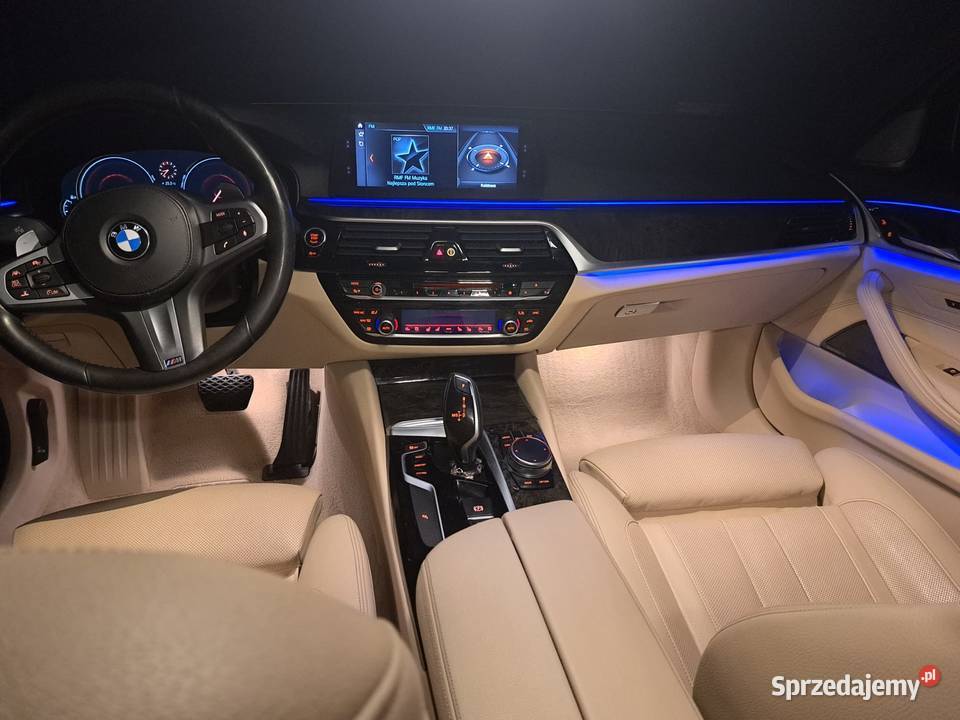 BMW Seria 5 530i 20 XDrive Sport Line Sport pomorskie Człuchów