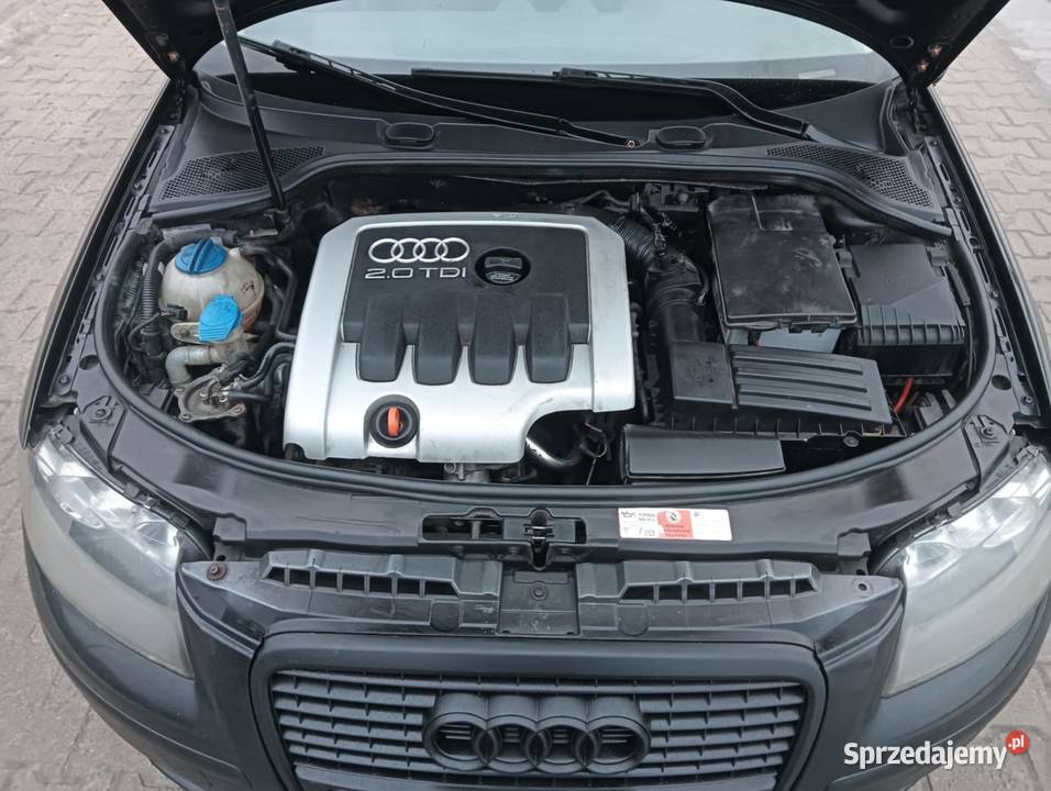 Audi a3 8p 20 Tdi alcantara navi tempomat ASR (kontrola trakcji) Sochaczew