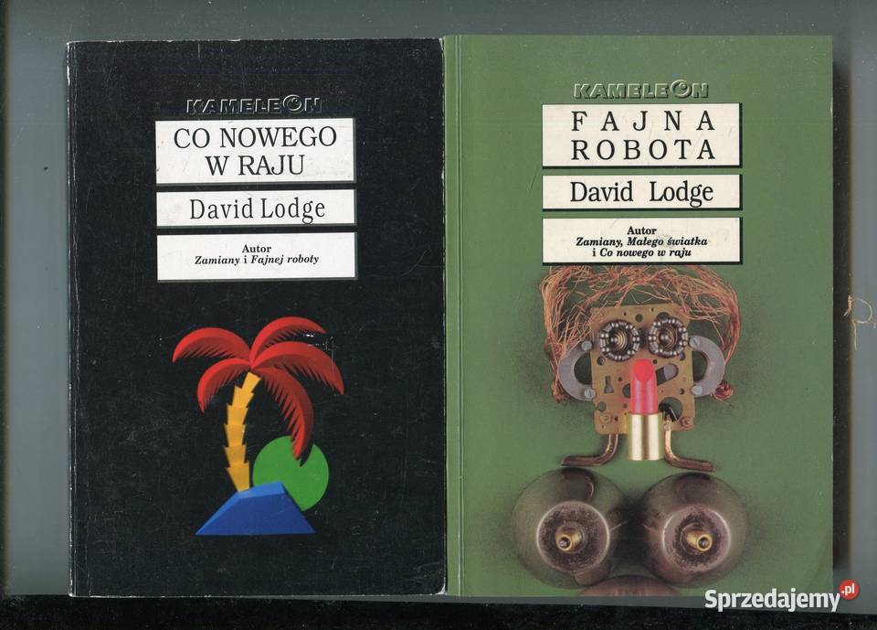 Co nowego w raju Fajna robota David Lodge miękka zachodniopomorskie