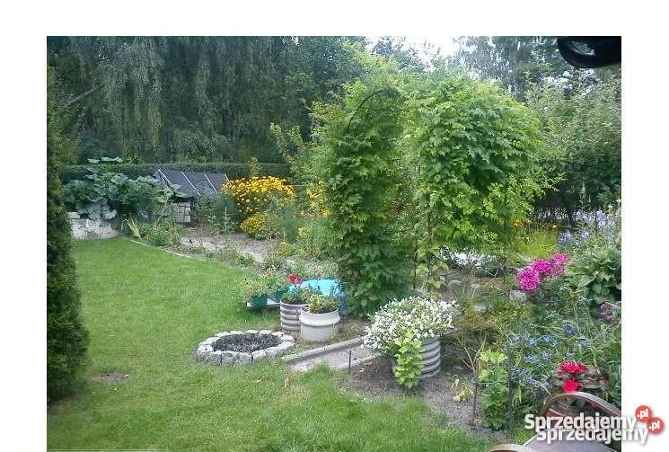 Działka ogrodowa 300m2 Lubin