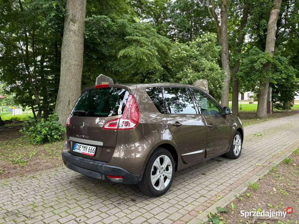 Renault Scenic Renault Scenic Przasnysz
