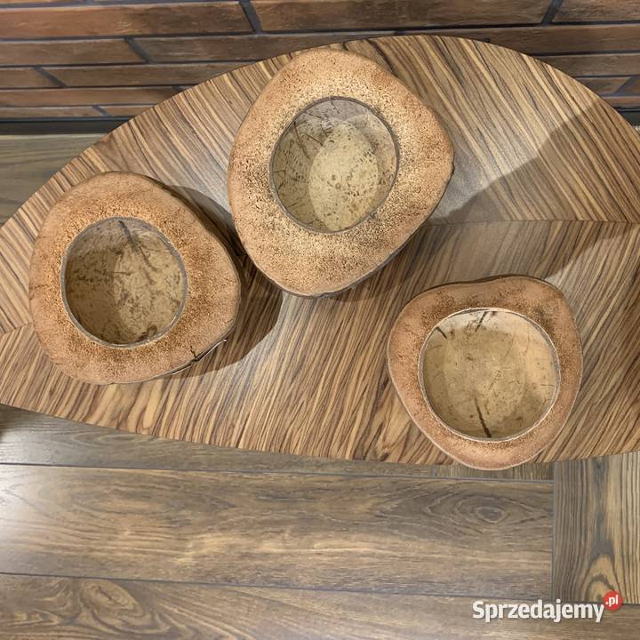 Doniczka z łupiny kokosa Bochnia