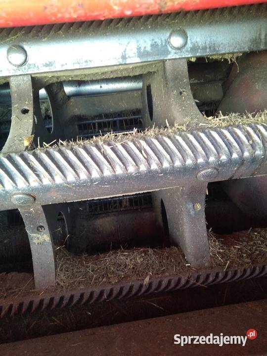 Massey ferguson 506 nieuszkodzony Rudki