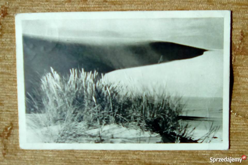 ŁEBA WYDMY PIASKOWE FOT PUCHALSKI Piszczac