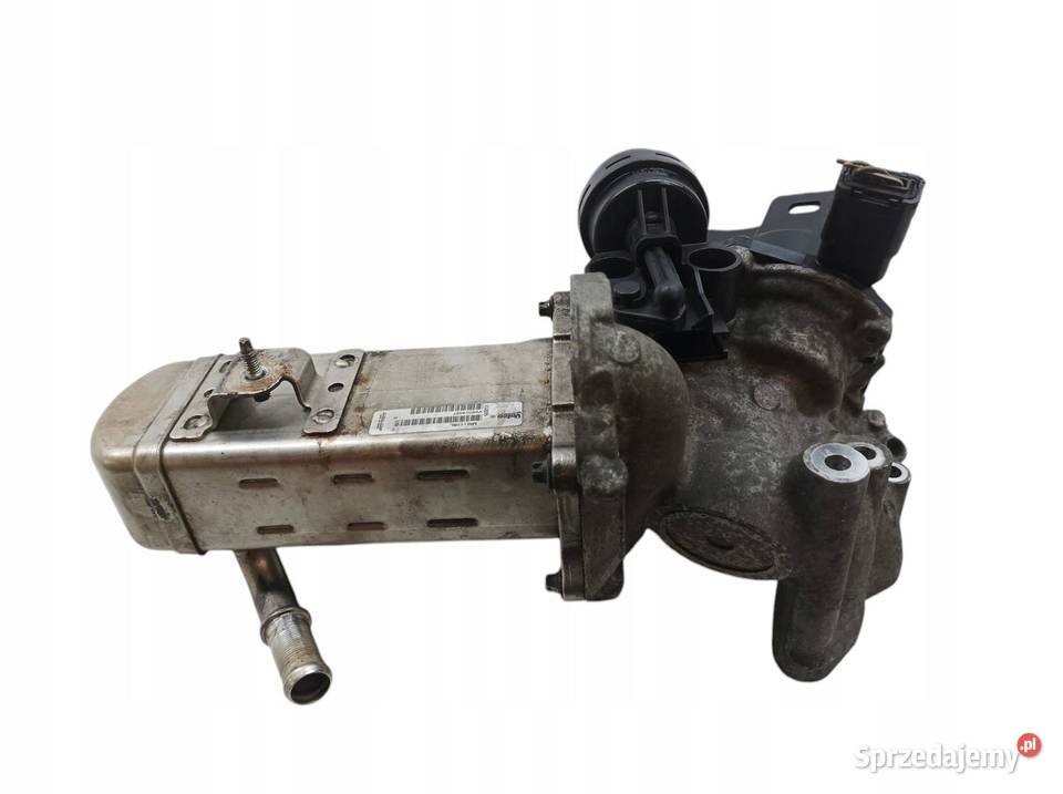 CHŁODNICA SPALIN 20 TDCI Ford Focus Mk1 19982004 Części samochodowe