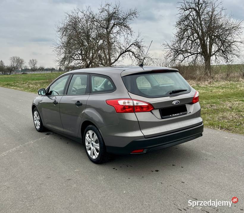 Ford Focus Mk3 10 2014r stan Focus Samochody osobowe