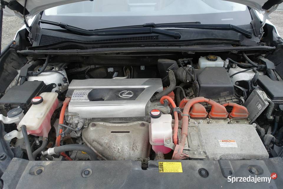 LEXUS NX 300H 197 4X4 SKÓRA AUTOMAT BIAŁA PERŁA Buczkowice