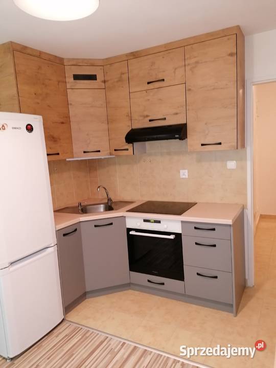 Mieszkanie do wynajęcia 384 m2 parter