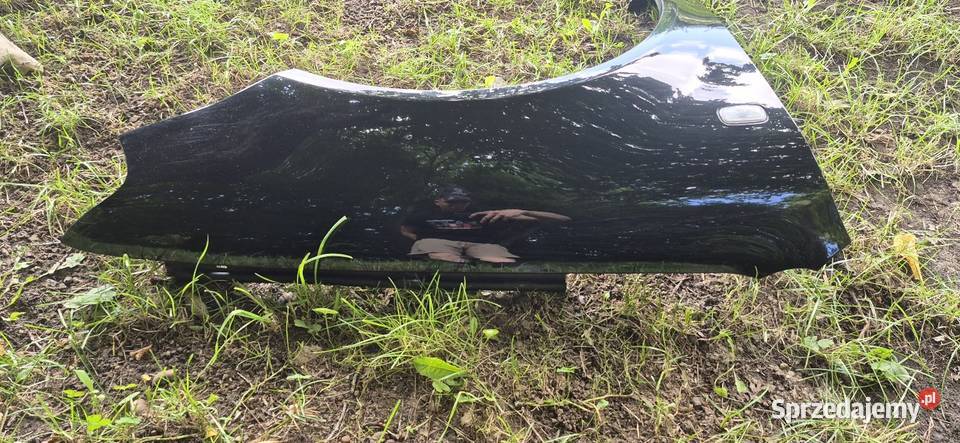 Błotnik prawy przód Audi A3 8L LY9B Słupsk sprzedam