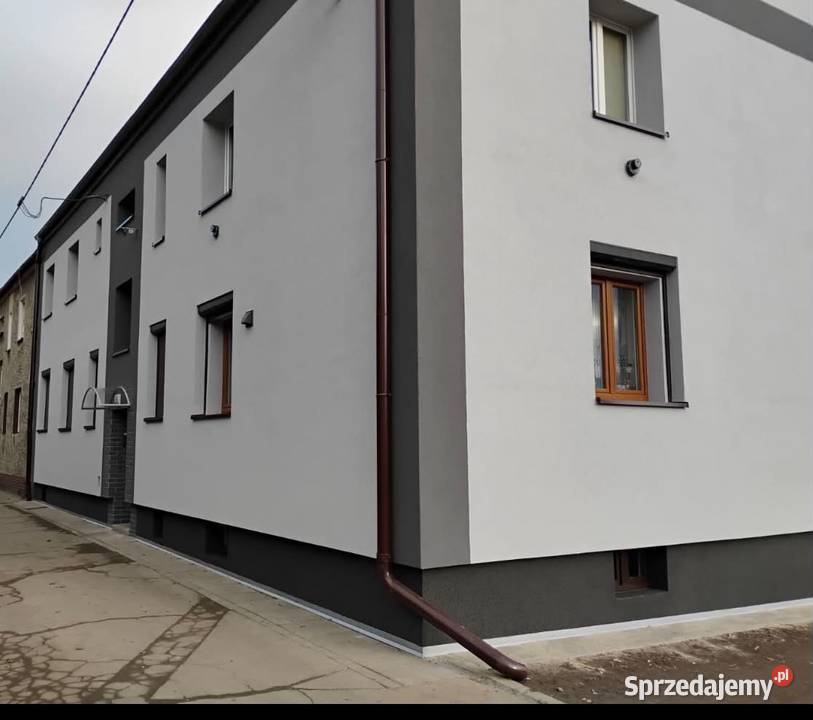 Sprzedam na już mieszkanie Zabrze Daszyńskiego strych Sprzedaż
