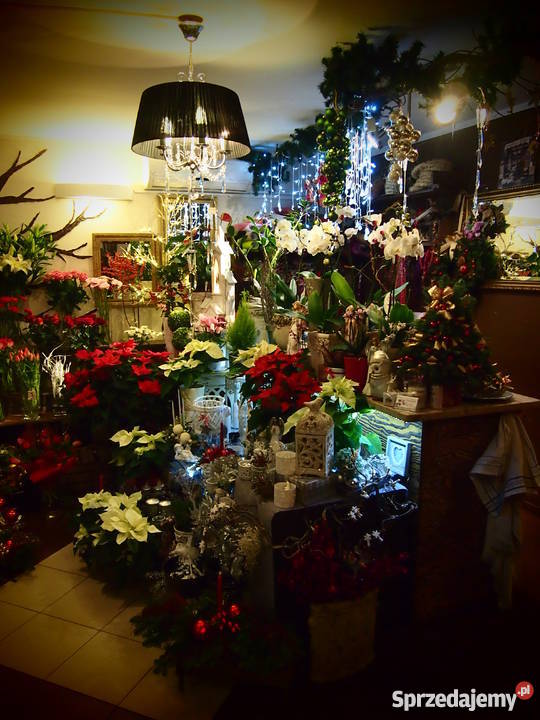 Sprzedam asortyment kwiaciarni Olsztyn
