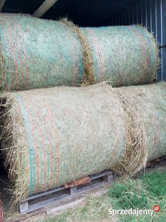 bale z suchego siana Nowy Targ