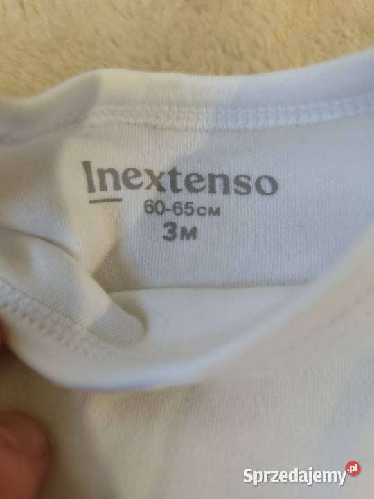 Body intextenso Rozmiar 60 Słupsk