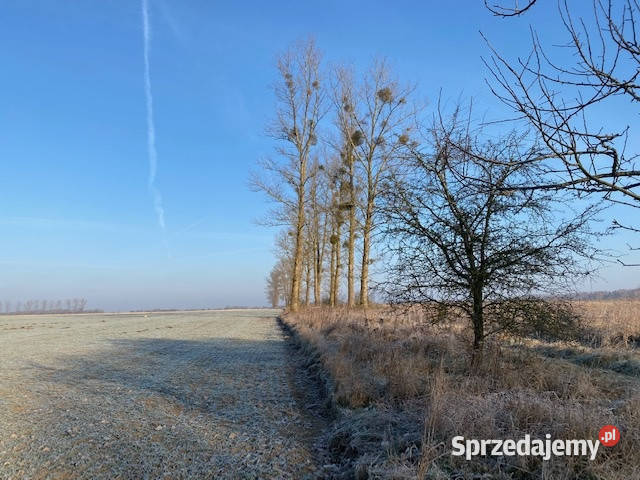 Syndyk sprzeda Nieruchomości w Sownie Sowno sprzedam