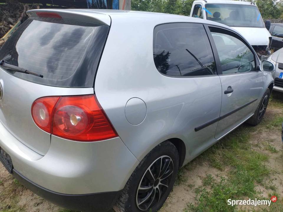 Golf 5 Konie
