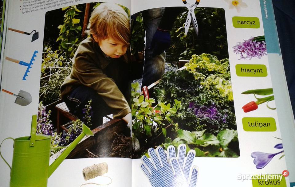 Plac zabaw Księga zabaw z obrazkami Pięciolatek