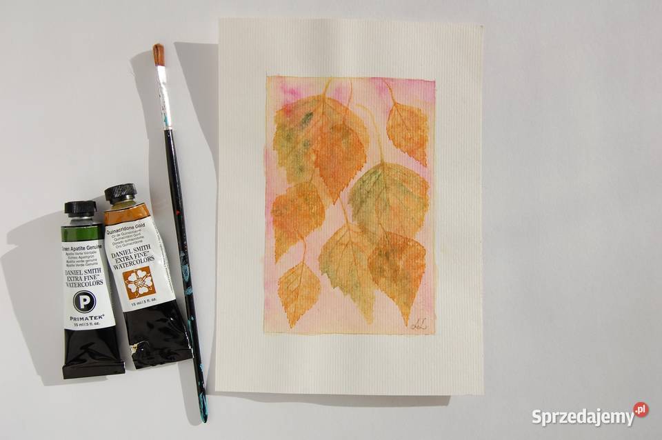 Jesienne listki brzozy akwarela Daniel Smith Lublin sprzedam